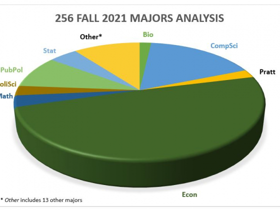 Pie chart titled 256 Fall 2021 Majors Analysis: 49% Econ, 17% CompSci, 10% Other (includes 13 majors), 9% PubPol, 5% Stat, 3% Math, 3% PoliSci, 2% Pratt, 2% Bio
