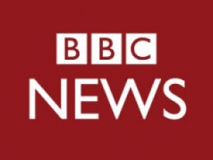 BBC News Features Paper by Professor Patton			