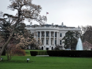 Cutting Corporate Taxes to 20% Would Boost Workers’ Income, White House Says