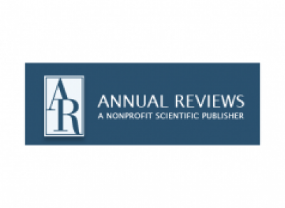 Affirmative Action in Undergraduate Education			