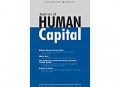 Exploring the Racial Divide in Education and the Labor Market through Evidence from Interracial Families			